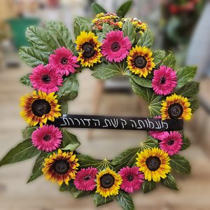 גלגל-אבל-1.jpg